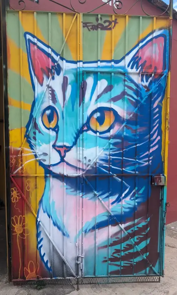 My Thoughts on Dogs and Cats and the Terrible Way Many Tourists Often Treat Them. Door Of La Selva De Los Gatos Rescue in Oaxaca, Mexico