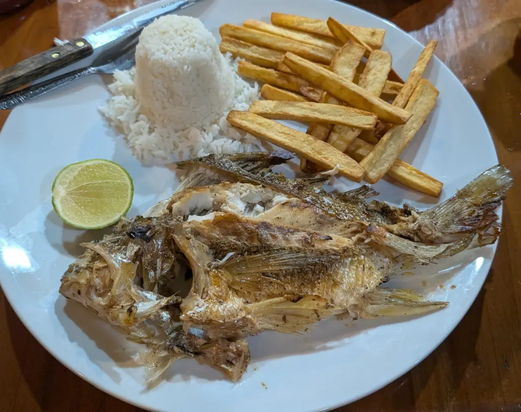 Floating Down The Rio Dulce For A Week, Discovering Guatemala’s Hidden Gem! Grilled Fish Dinner at Casa Maya on Rio Dulce Guatemala