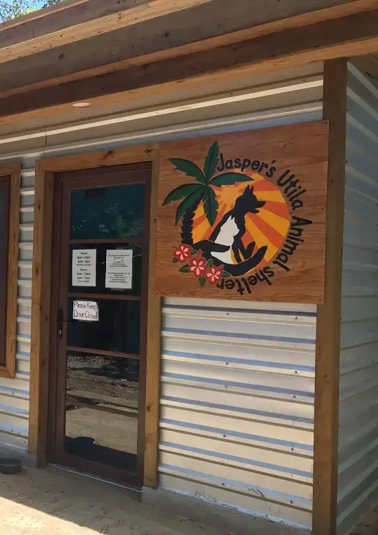 My Thoughts on Dogs and Cats and the Terrible Way Many Tourists Often Treat Them. Jasper's Animal Rescue In Utila, Honduras