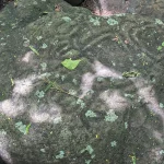 Carved Petroglyphs Near Balgue at Finca Magdalena, Ometepe, Nicaragua Carved Petroglyphs Near Balgue at Finca Magdalena, Ometepe, Nicaragua