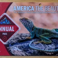 USA National Parks Annual Pass Card Bought at Yosemite, California USA National Parks Annual Pass Card Bought at Yosemite, California