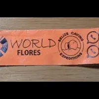 Wrist Band for Shuttle from Flores, Peten to Tikal, Guatemala Wrist Band for Shuttle from Flores, Peten to Tikal, Guatemala