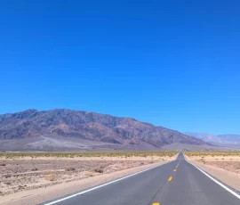 Highway 190 SW Near Devil's Cornfield, Death Valley, CA Highway 190 SW Near Devil's Cornfield, Death Valley, CA